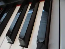 Piano Keys